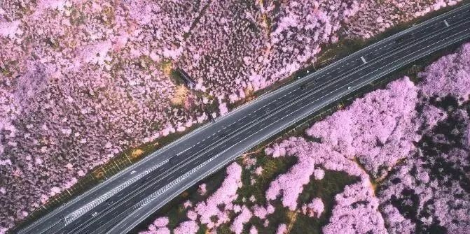 高清视频网 相关产品