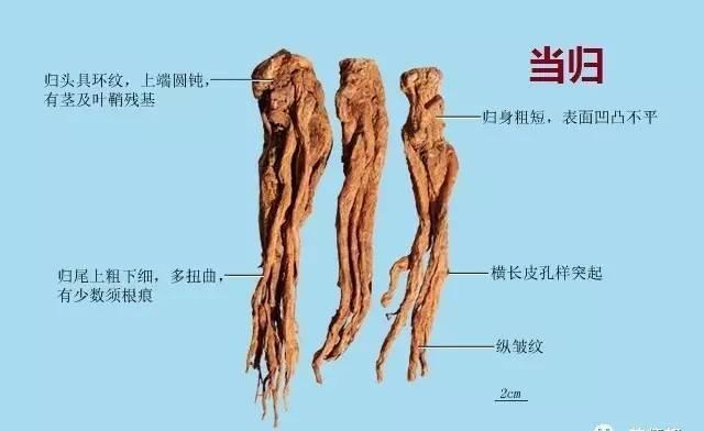 羞羞漫画登录页面入口链接破解 相关产品