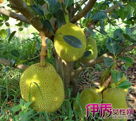 无双sama 相关产品