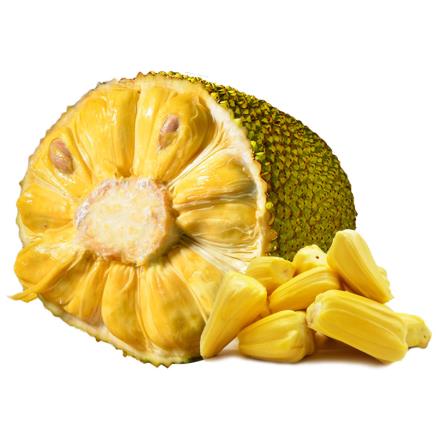 你好中世纪 产品图片