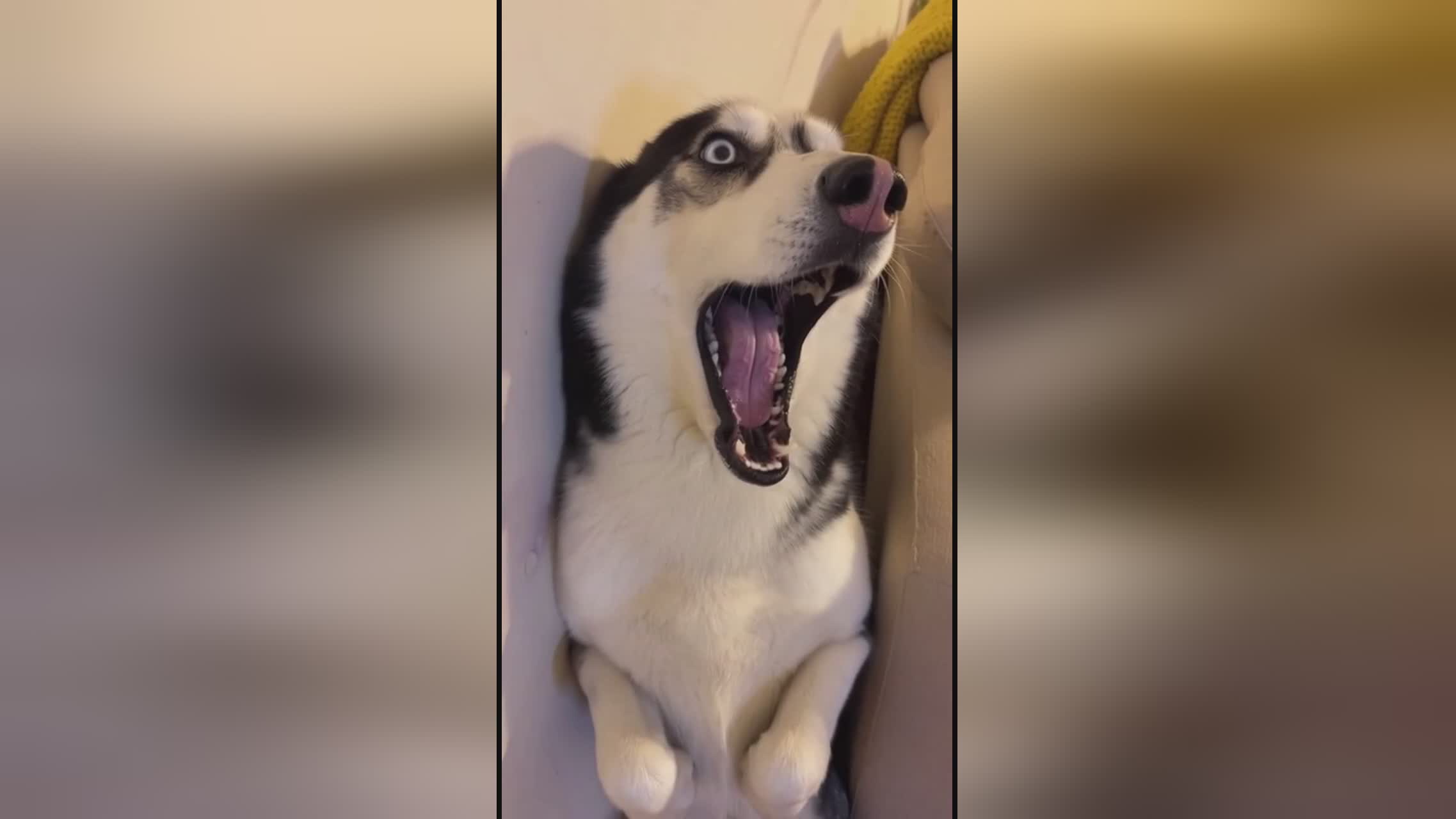 低下层 相关产品