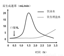 停尸房收藏 产品主图
