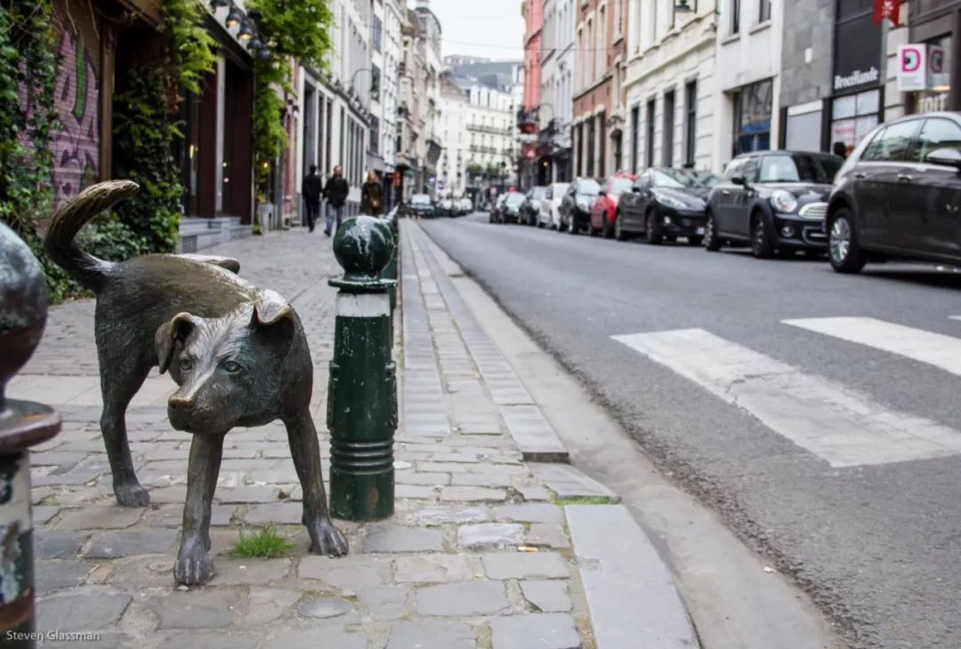 你在哪 产品主图