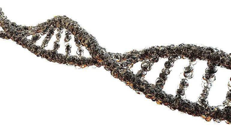 920美影 推荐产品
