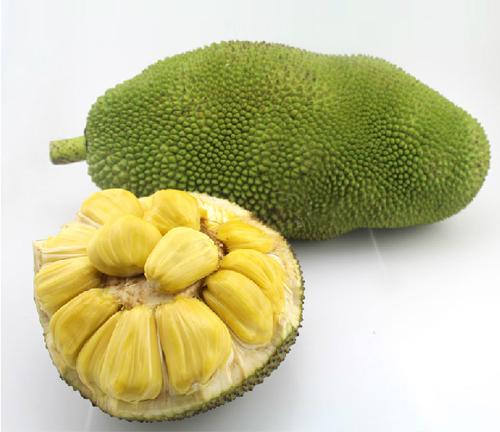 苏小纯和老苏免费阅读 相关产品