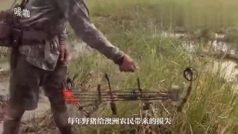文轩3000再约高颜值返场在 产品图片