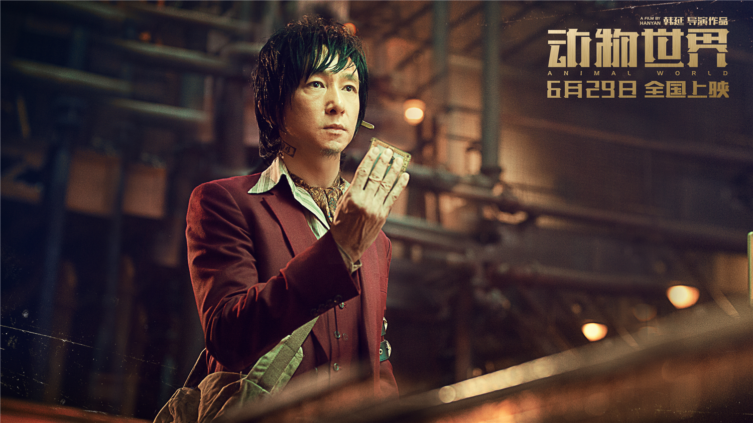 gov-003在线观看 相关产品